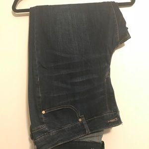 Lane Bryant Jeans